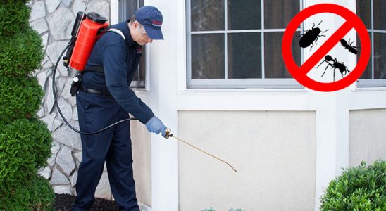 Yedisu Kene İlaçlama böcek ilaçlama ve haşere kontrolü — ilaclama-tr.com